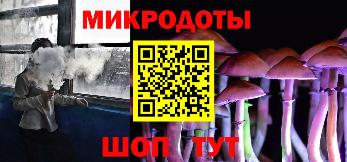 Псилоцибиновые грибы Psilocybe Ишимбай